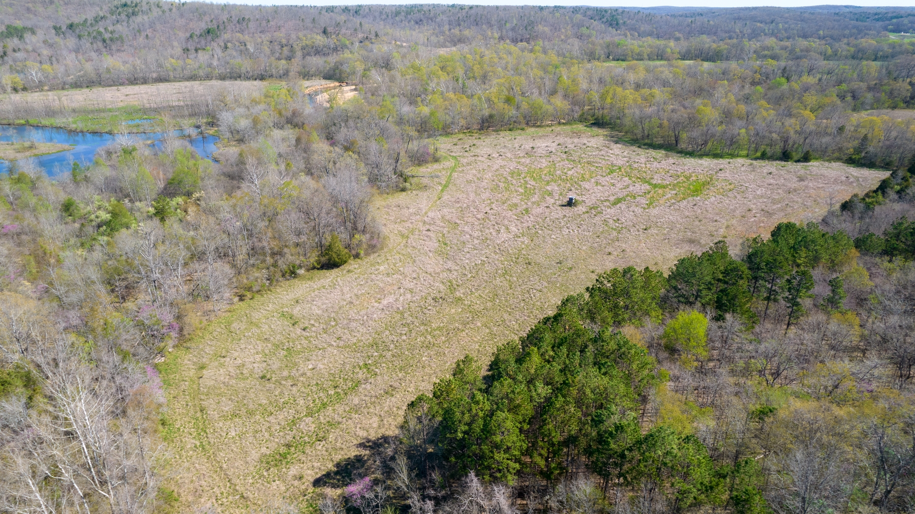 WAYNE COUNTY MO 420 REDUCED
