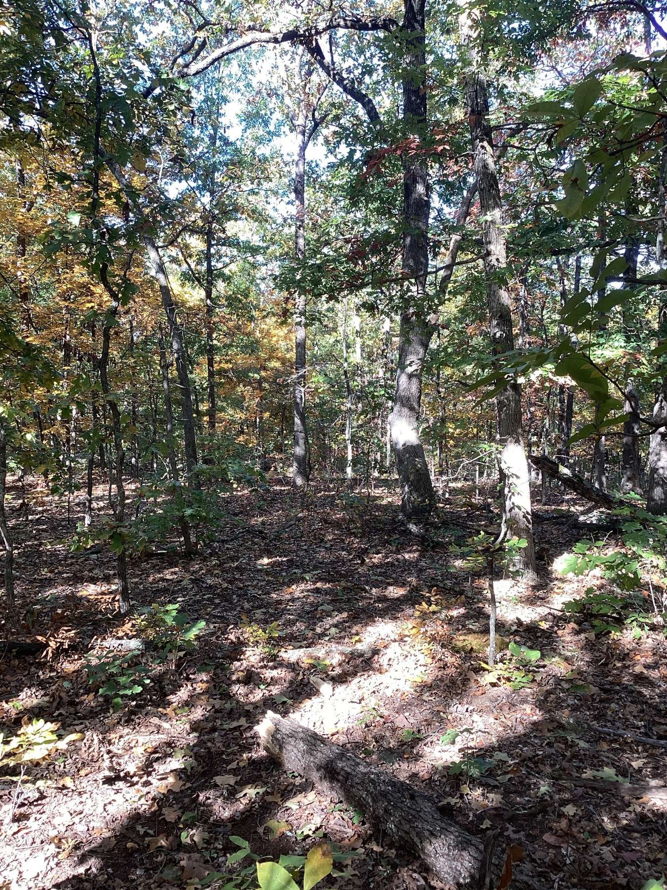 298 COUNTY RD 87, VIBURNUM IRON COUNTY MO 10.65 PENDING