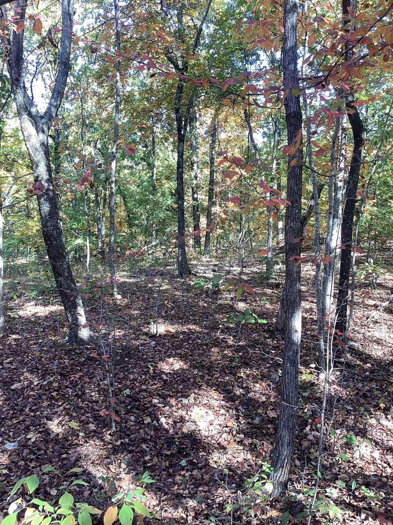 298 COUNTY RD 87, VIBURNUM IRON COUNTY MO 10.65 PENDING