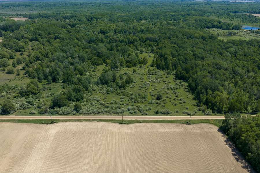 000 FREIBURGER RD, SNOVER | SANILAC COUNTY MI 20± | Parcel B - AVAILABLE