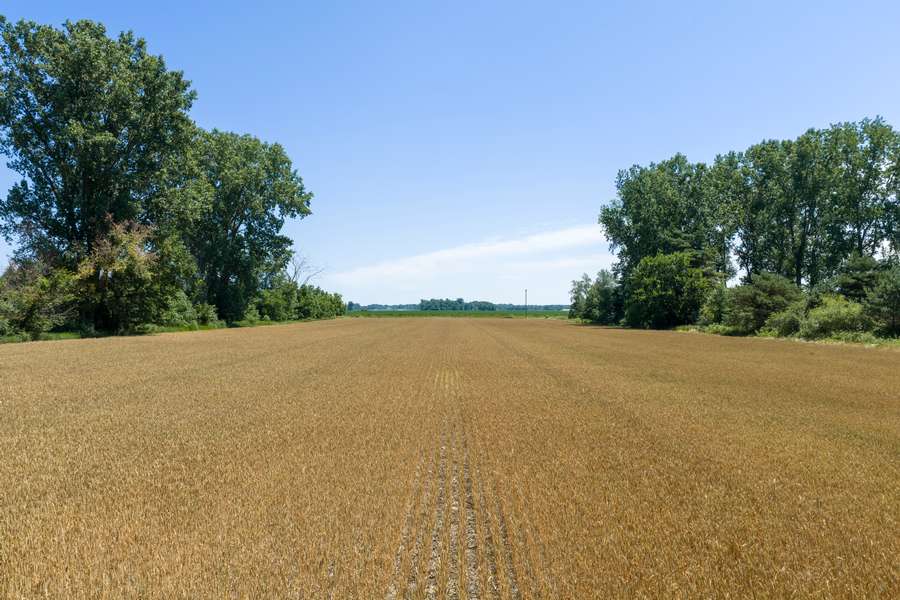 000 DODGE RD., CASS CITY | TUSCOLA COUNTY MI 40 (PARCEL A) - AVAILABLE