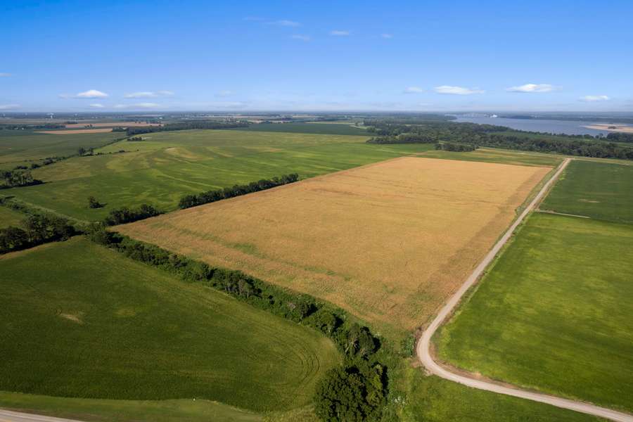 0 COUNTY ROAD 542, CARUTHERSVILLE | PEMISCOT COUNTY MO 90 - AVAILABLE