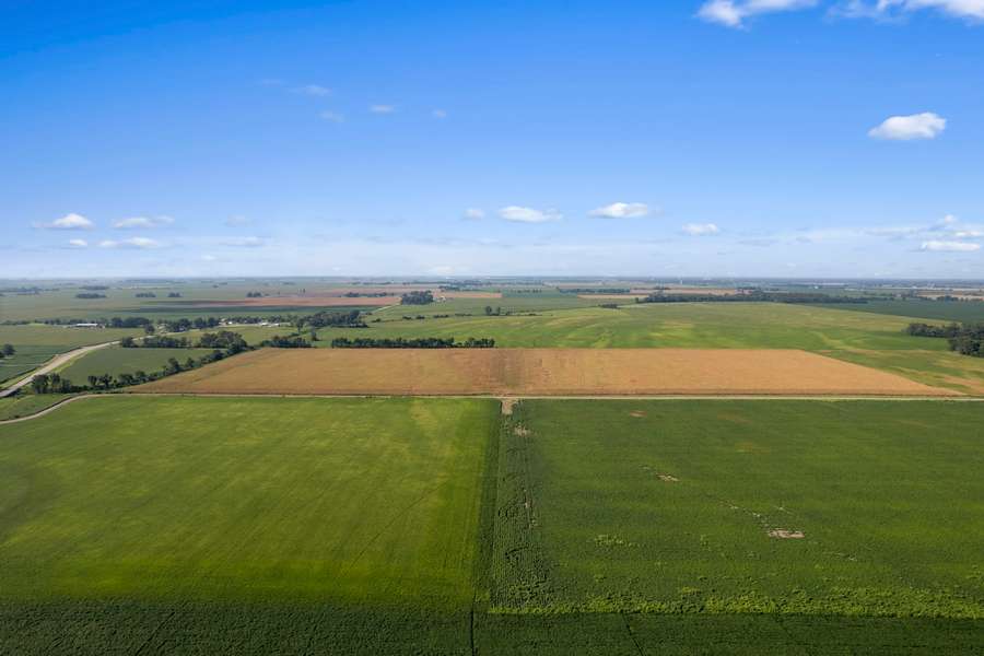 10-web-or-mls-DJI_0260.jpg