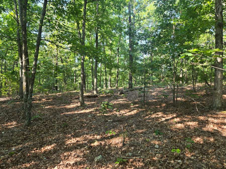 0 COUNTY RD. 205A, VAN BUREN | CARTER COUNTY MO 40 - AVAILABLE