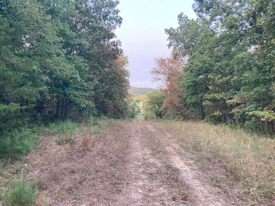 11834 STATE HIGHWAY 67, FREDERICKTOWN | MADISON COUNTY MO 48 - REDUCED