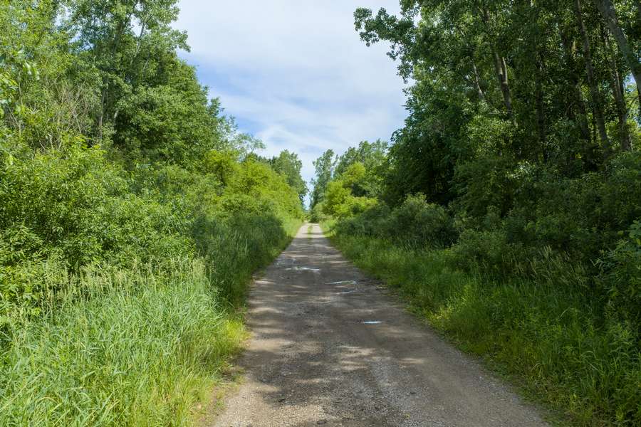 13cf7c.jpg