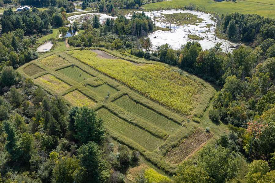 18BigRapidsMI_80Acres_0171.jpg