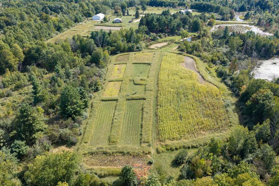 19BigRapidsMI_80Acres_0181.jpg