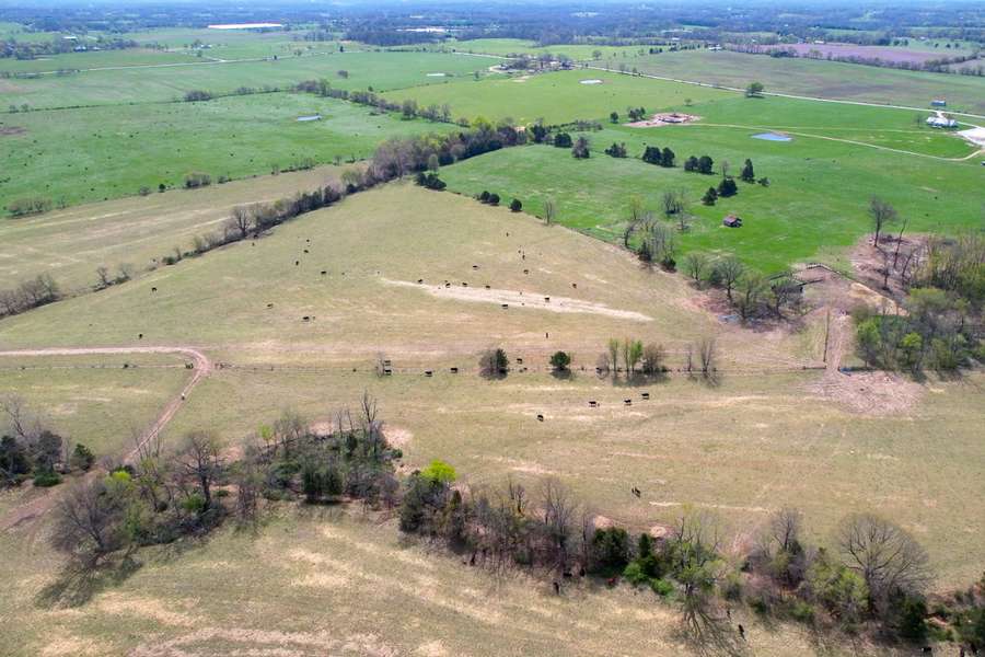 0 FARM ROAD 2040, CRANE | BARRY COUNTY MO 220 - AVAILABLE