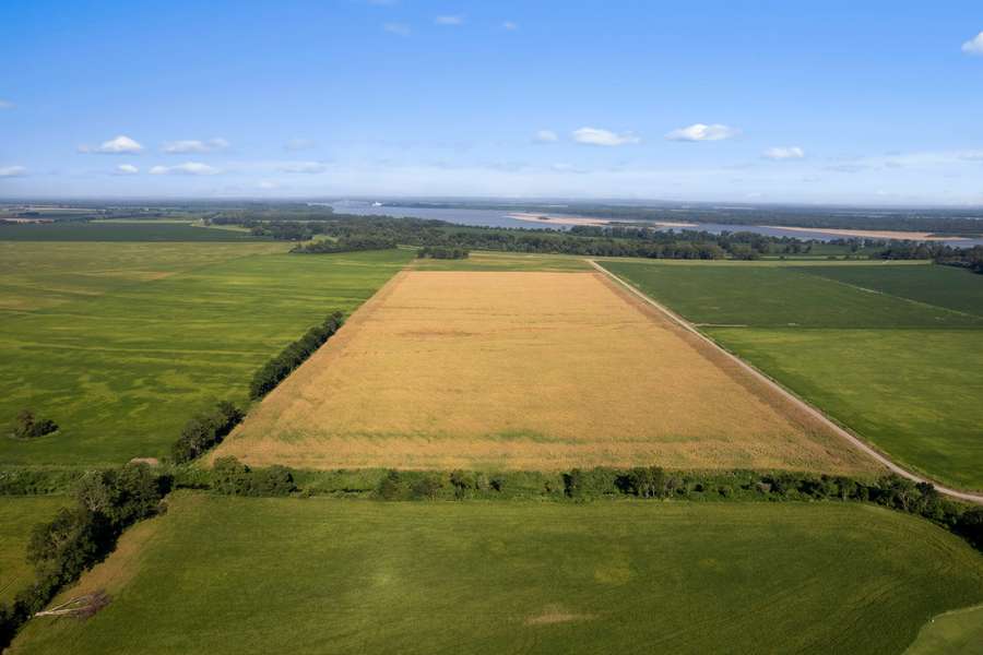 2-web-or-mls-DJI_0243.jpg