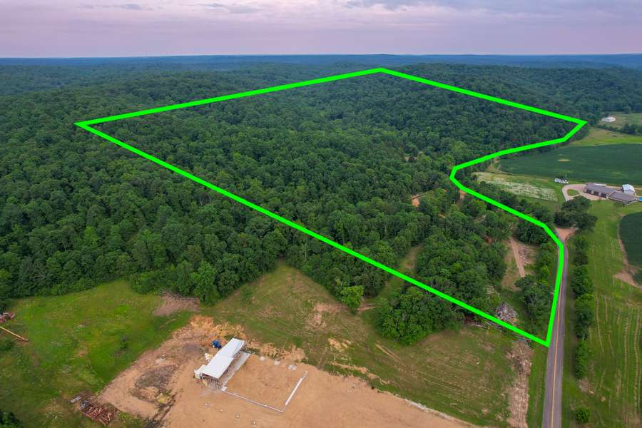 21202 STATE HIGHWAY MM | BOLLINGER COUNTY MO 96 | AUCTION - AVAILABLE
