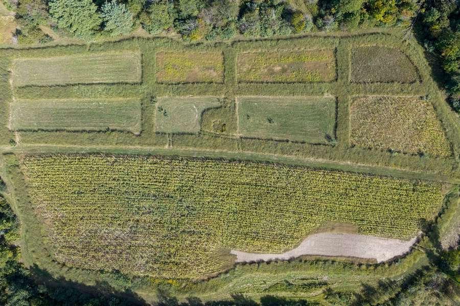 20BigRapidsMI_80Acres_0211.jpg