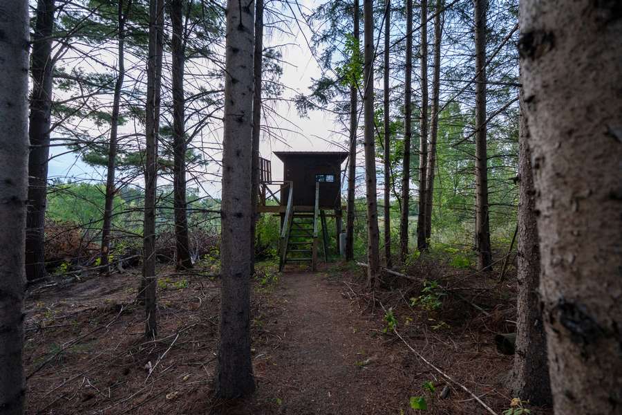 21BigRapidsMI_80Acres_1261.jpg