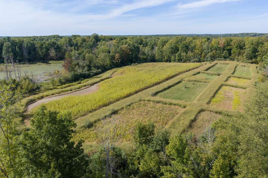 23BigRapidsMI_80Acres_0671.jpg