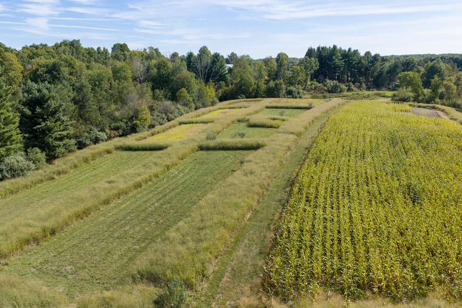 24BigRapidsMI_80Acres_0311.jpg