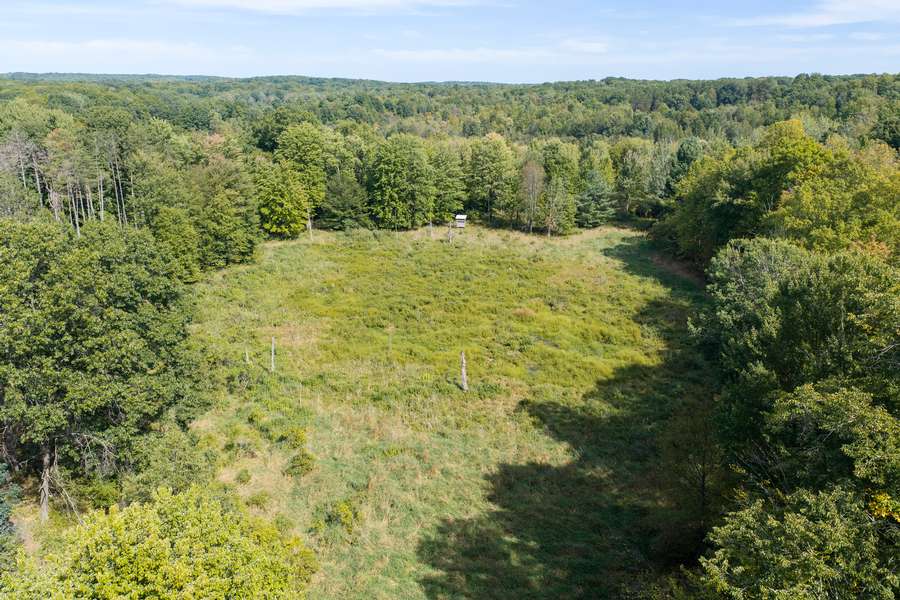 29BigRapidsMI_80Acres_0231.jpg