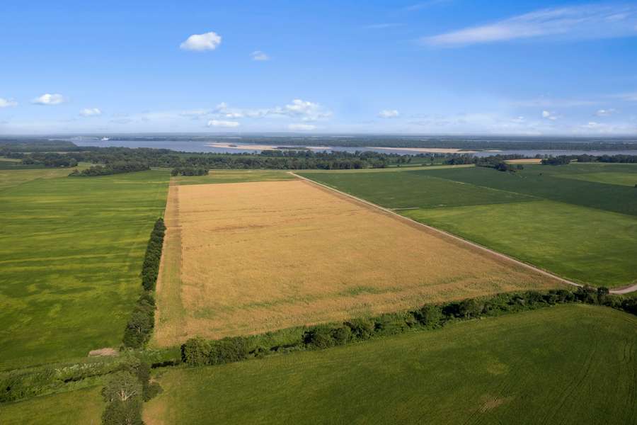 3-web-or-mls-DJI_0244.jpg