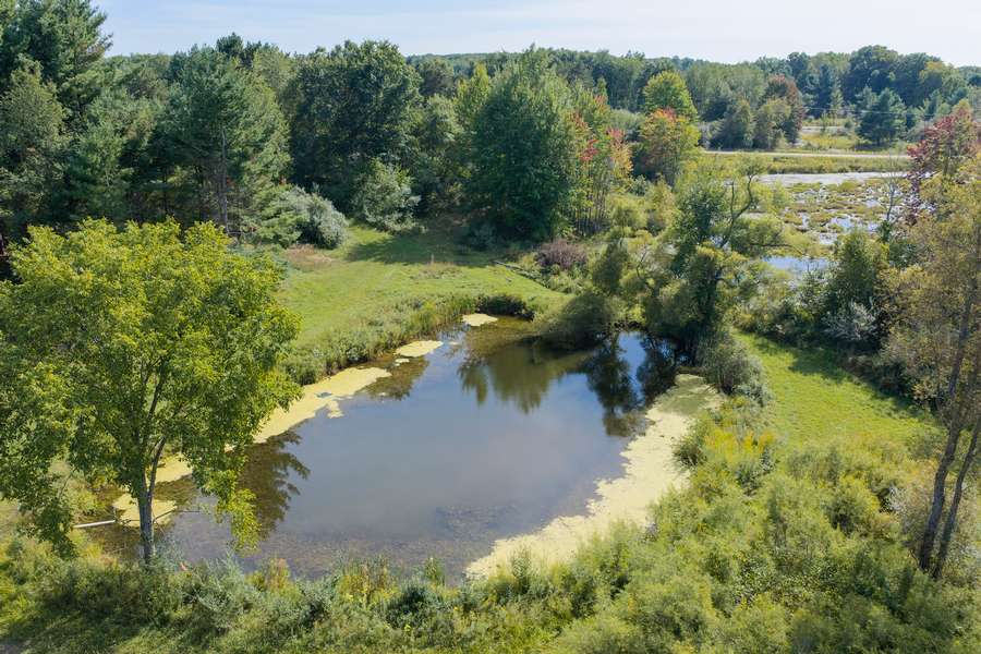 38BigRapidsMI_80Acres_0351.jpg