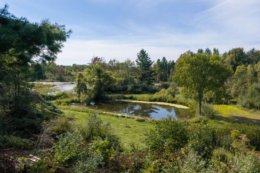 39BigRapidsMI_80Acres_0411.jpg