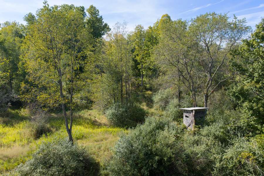 41BigRapidsMI_80Acres_0711.jpg