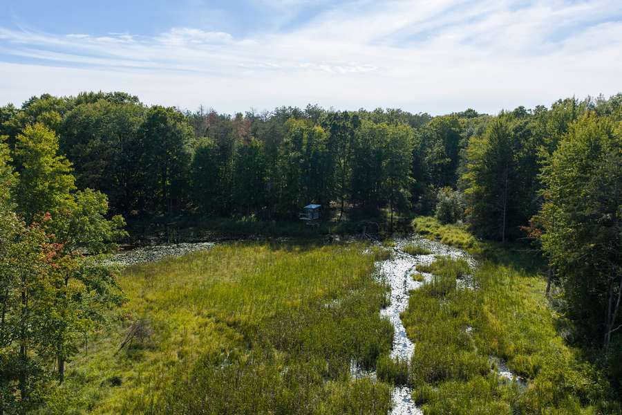 42BigRapidsMI_80Acres_0751.jpg