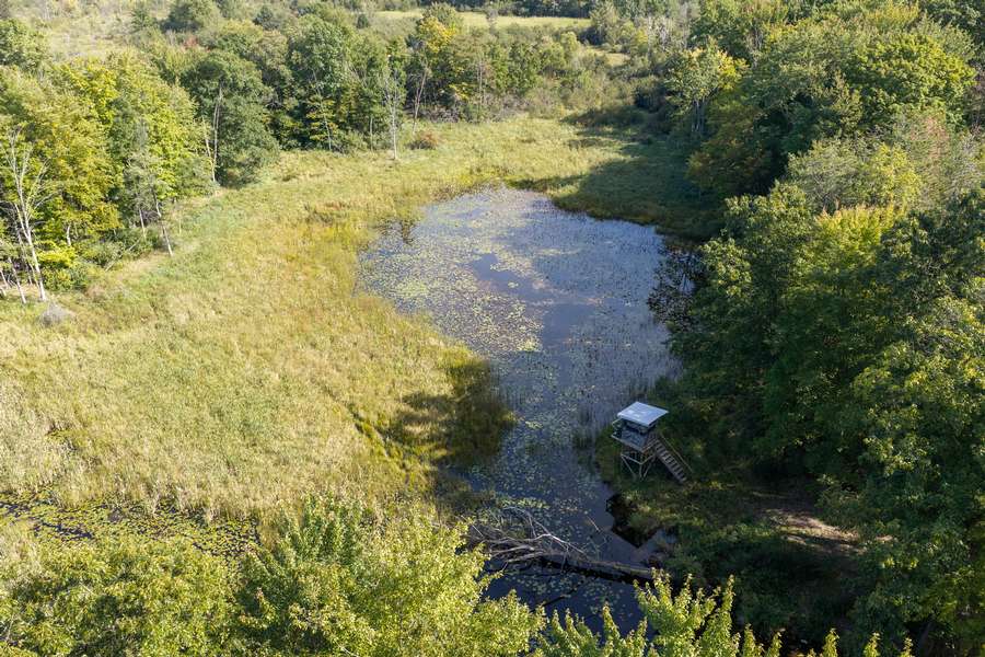 43BigRapidsMI_80Acres_0791.jpg