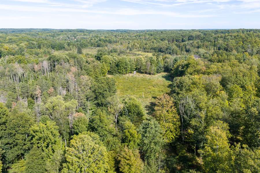44BigRapidsMI_80Acres_0811.jpg