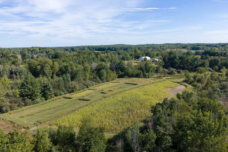 45BigRapidsMI_80Acres_0821.jpg