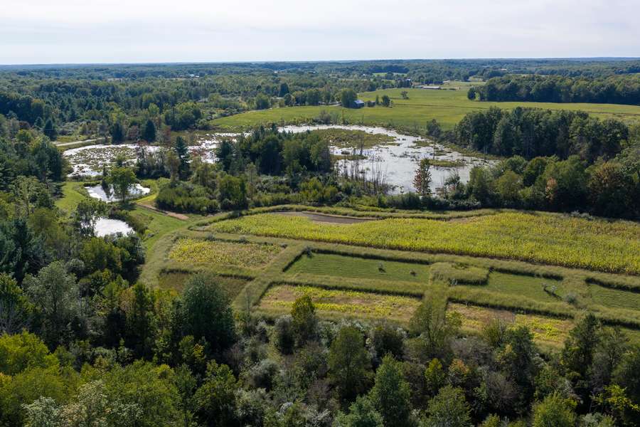 46BigRapidsMI_80Acres_0931.jpg