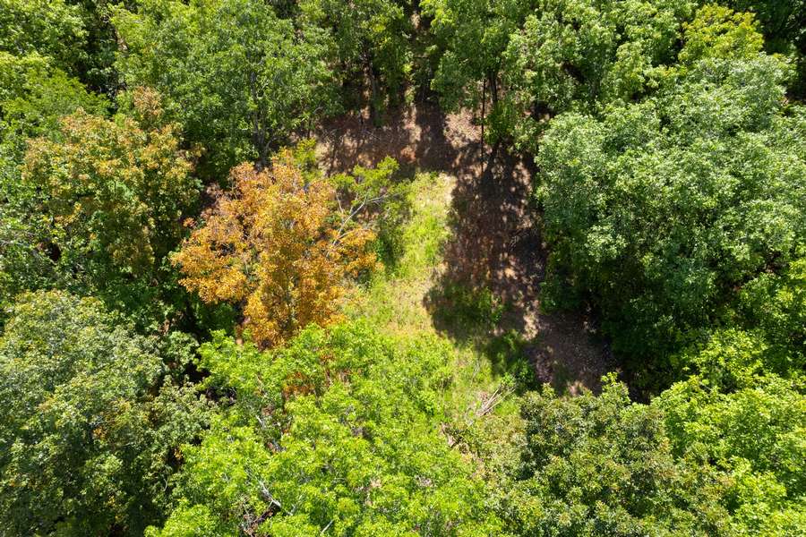000 CR 203, VAN BUREN | CARTER COUNTY MO 10 - REDUCED