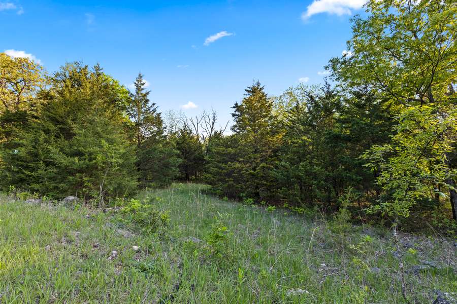 0 BRESSLER DRIVE, EDWARDS | BENTON COUNTY MO 2.94 - AVAILABLE
