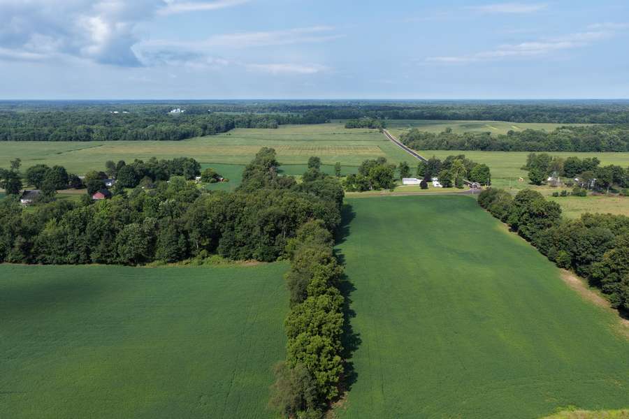 AllenMI_35Acres_ParcelA_13.jpg