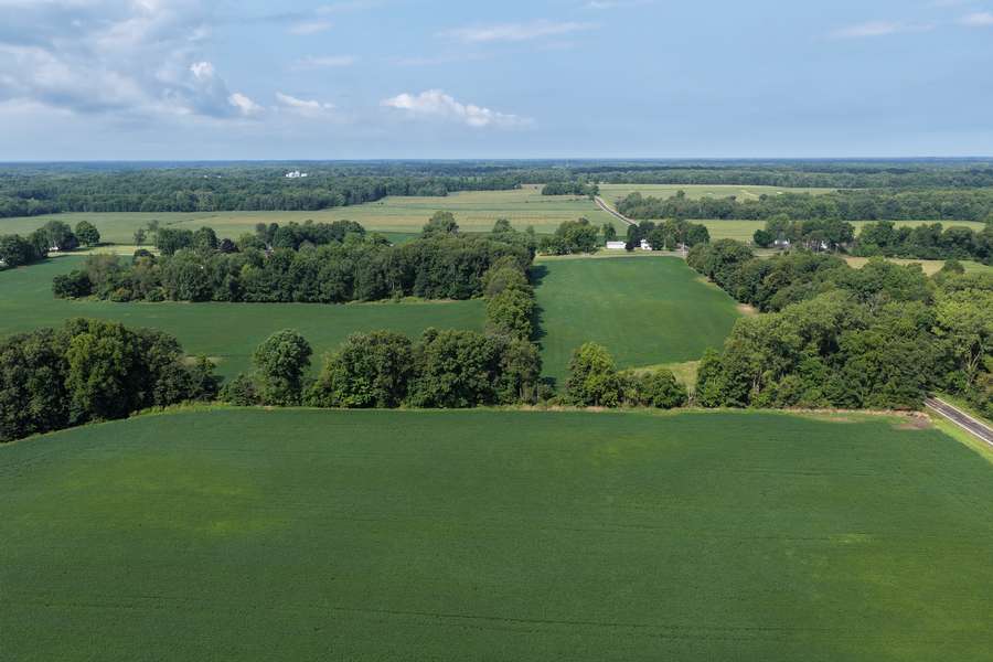 AllenMI_35Acres_ParcelB_16.jpg