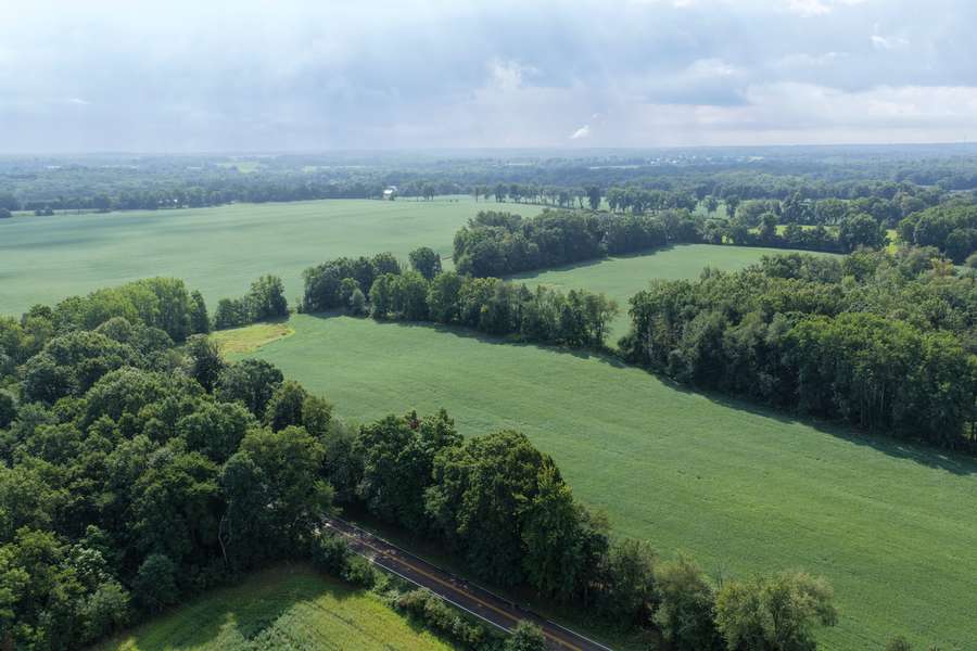 AllenMI_35Acres_ParcelB_20.jpg