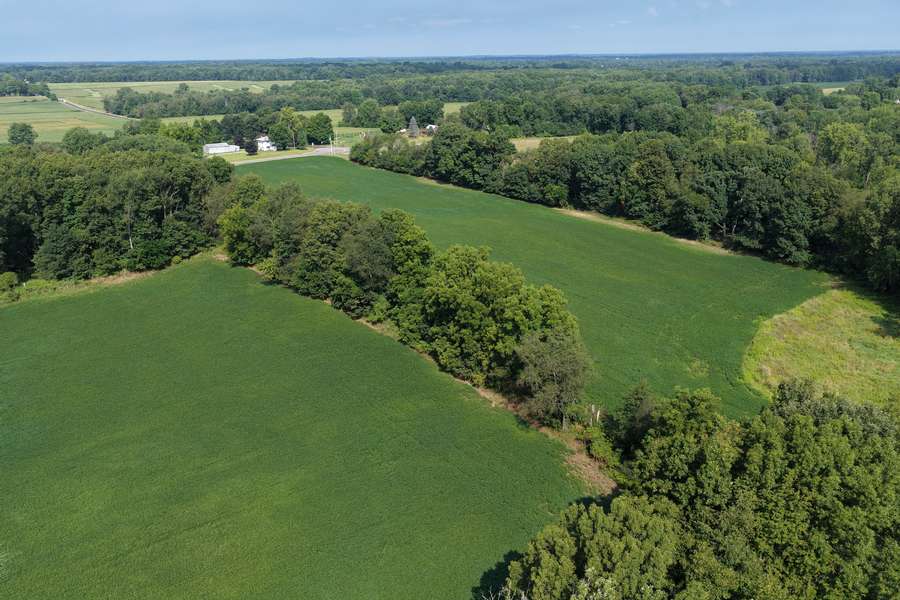 AllenMI_35Acres_ParcelB_28.jpg