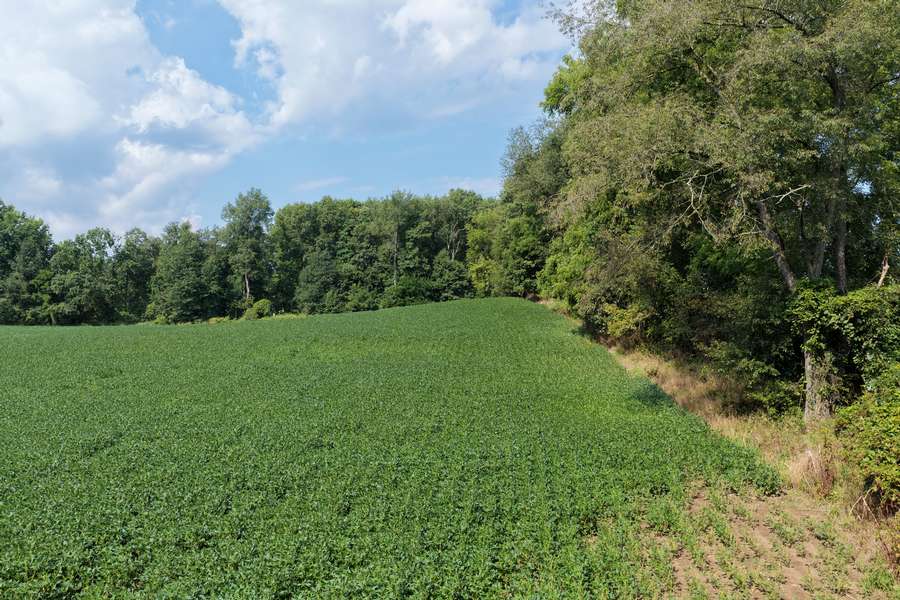 AllenMI_35Acres_ParcelB_29.jpg