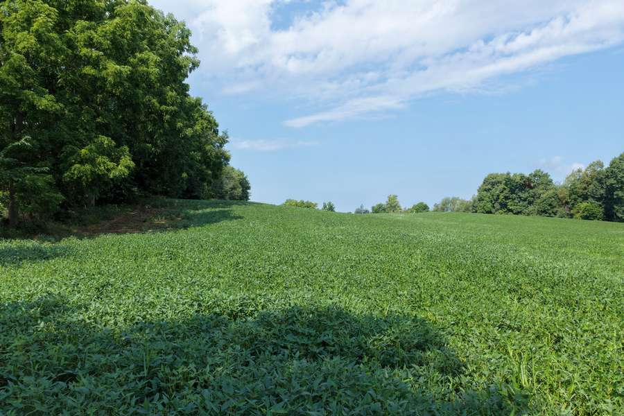 AllenMI_35Acres_ParcelB_34.jpg