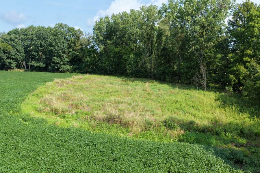 AllenMI_35Acres_ParcelB_35.jpg