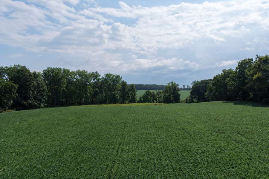 AllenMI_35Acres_ParcelB_36.jpg