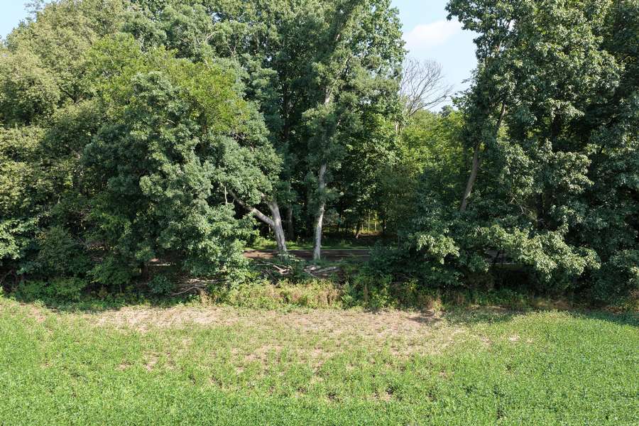 AllenMI_35Acres_ParcelB_39.jpg