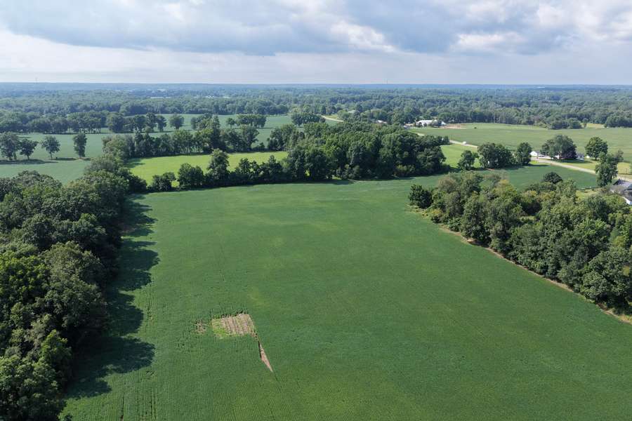 AllenMI_35Acres_ParcelC_08.jpg