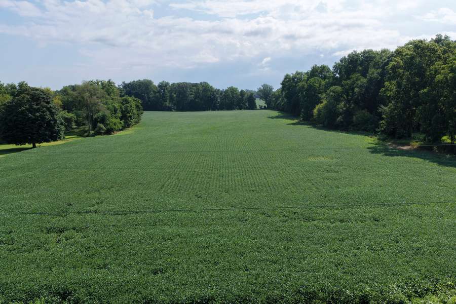 AllenMI_35Acres_ParcelC_22.jpg