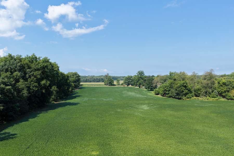AllenMI_35Acres_ParcelC_27.jpg