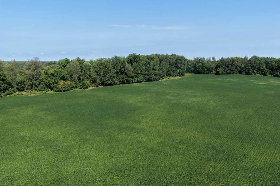AllenMI_35Acres_ParcelC_30.jpg