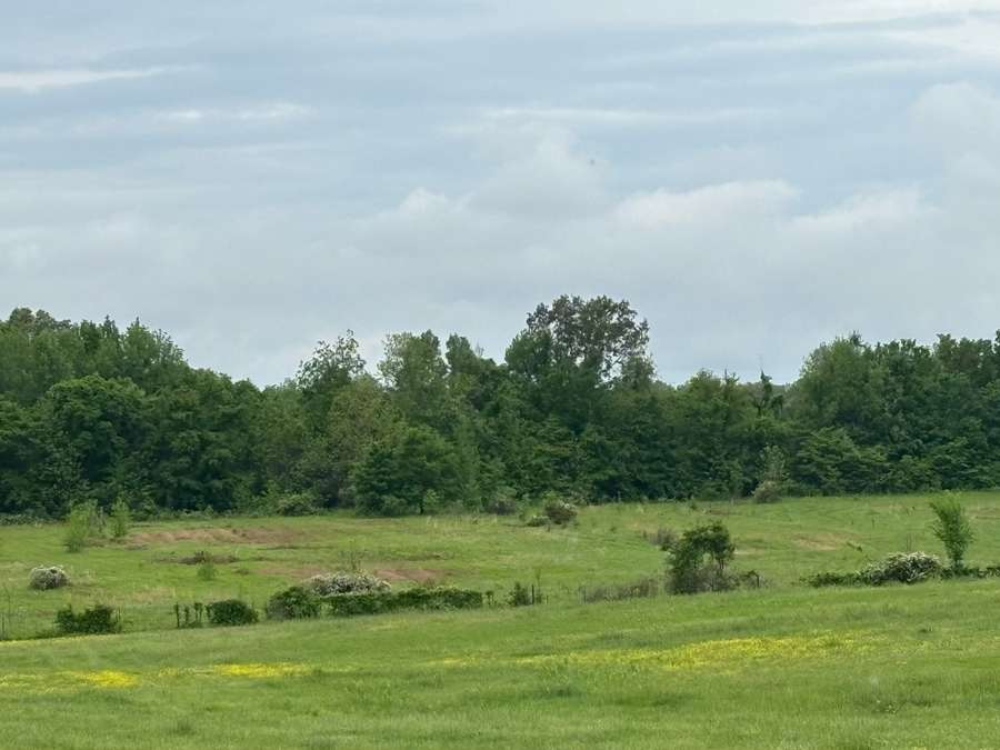 0 CO RD 249, BLOOMFIELD | STODDARD COUNTY MO 18.77 - AVAILABLE