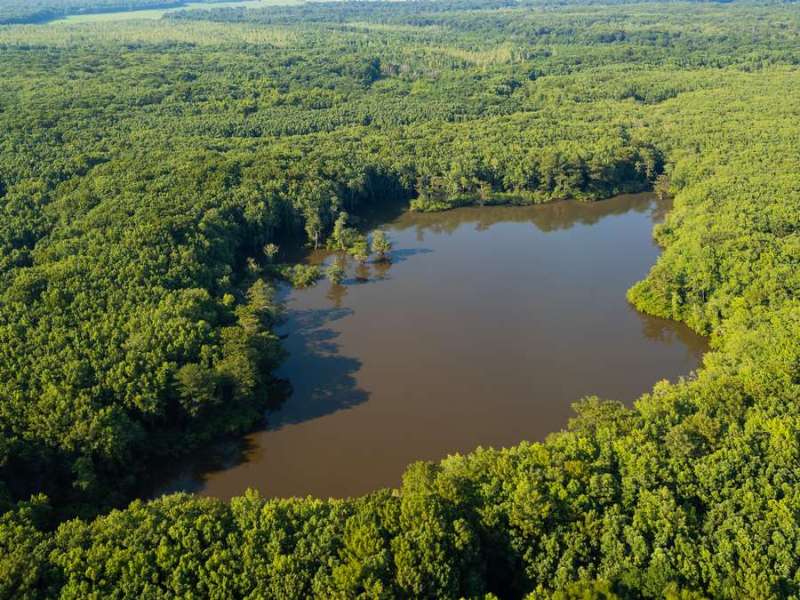0 CHISHOLM LAKE RD., RIPLEY | LAUDERDALE COUNTY TN 135 - AVAILABLE