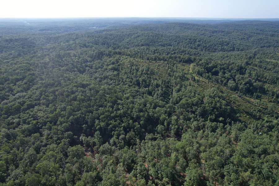 0 COUNTY RD. 205A, VAN BUREN | CARTER COUNTY MO 40 - AVAILABLE