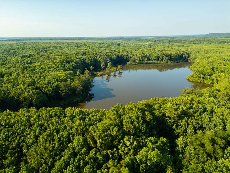 DJI_0003_copycc5c1.jpg