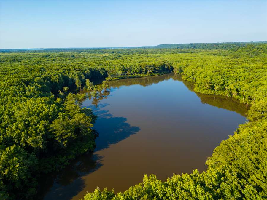 DJI_0004_copyeb0b1.jpg
