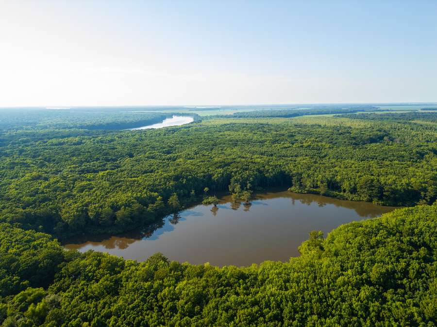 DJI_0006_copy6deb1.jpg